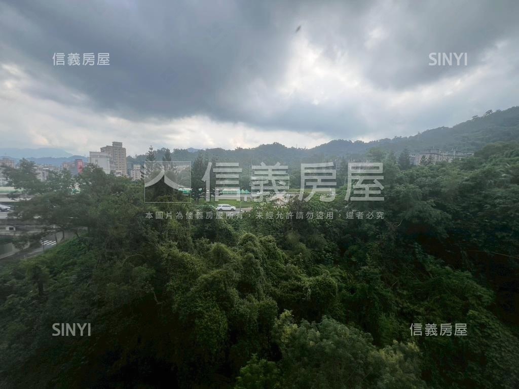 陽光樹海質感高樓房屋室內格局與周邊環境