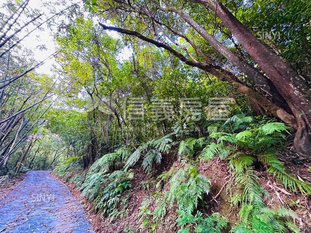 【廣袤汐萬】天賜沃土之貳房屋室內格局與周邊環境