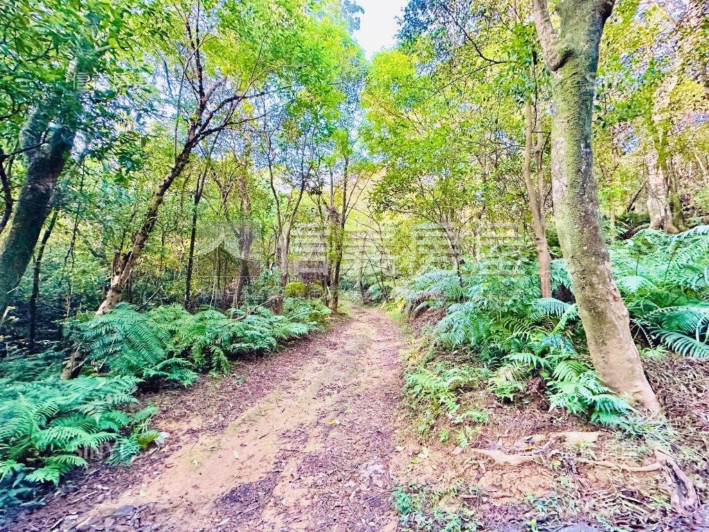 【廣袤汐萬】天賜沃土之貳房屋室內格局與周邊環境