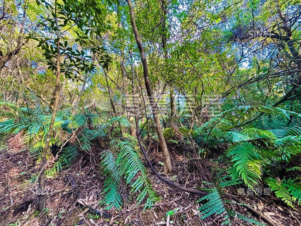 【廣袤汐萬】天賜沃土之貳房屋室內格局與周邊環境