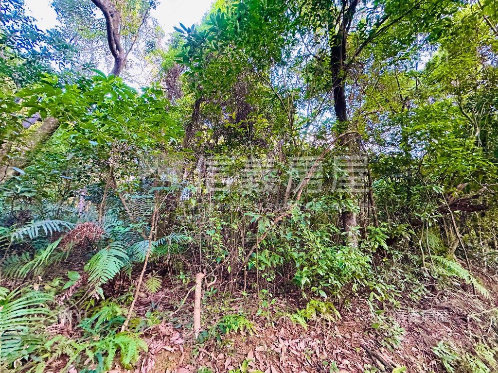 【廣袤汐萬】天賜沃土之貳房屋室內格局與周邊環境