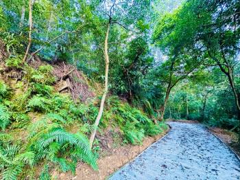 【汐止】廣袤天賜沃土之貳
