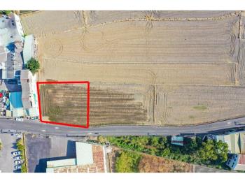 金馬報喜夏田產業重劃農地