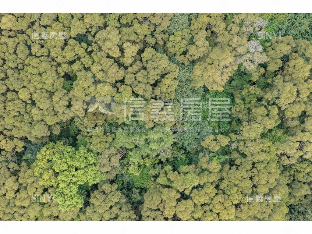 麗喆旁都計內農地房屋室內格局與周邊環境