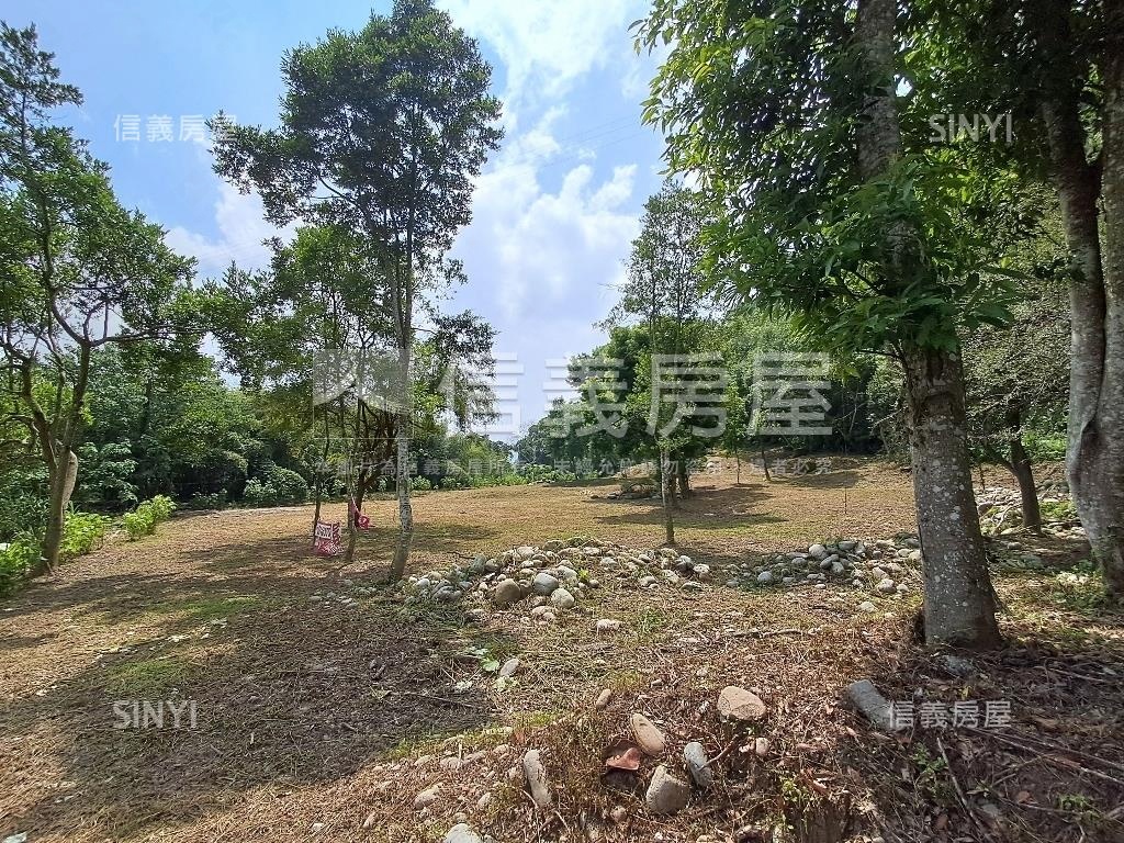 退休爺爺千坪農地單坪免萬房屋室內格局與周邊環境