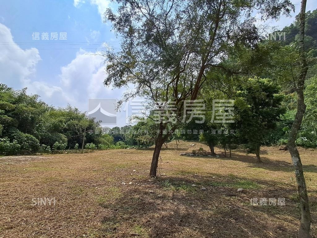 退休爺爺千坪農地單坪免萬房屋室內格局與周邊環境