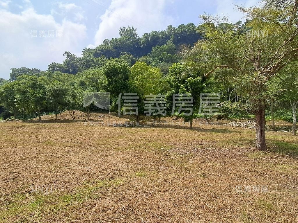 退休爺爺千坪農地單坪免萬房屋室內格局與周邊環境