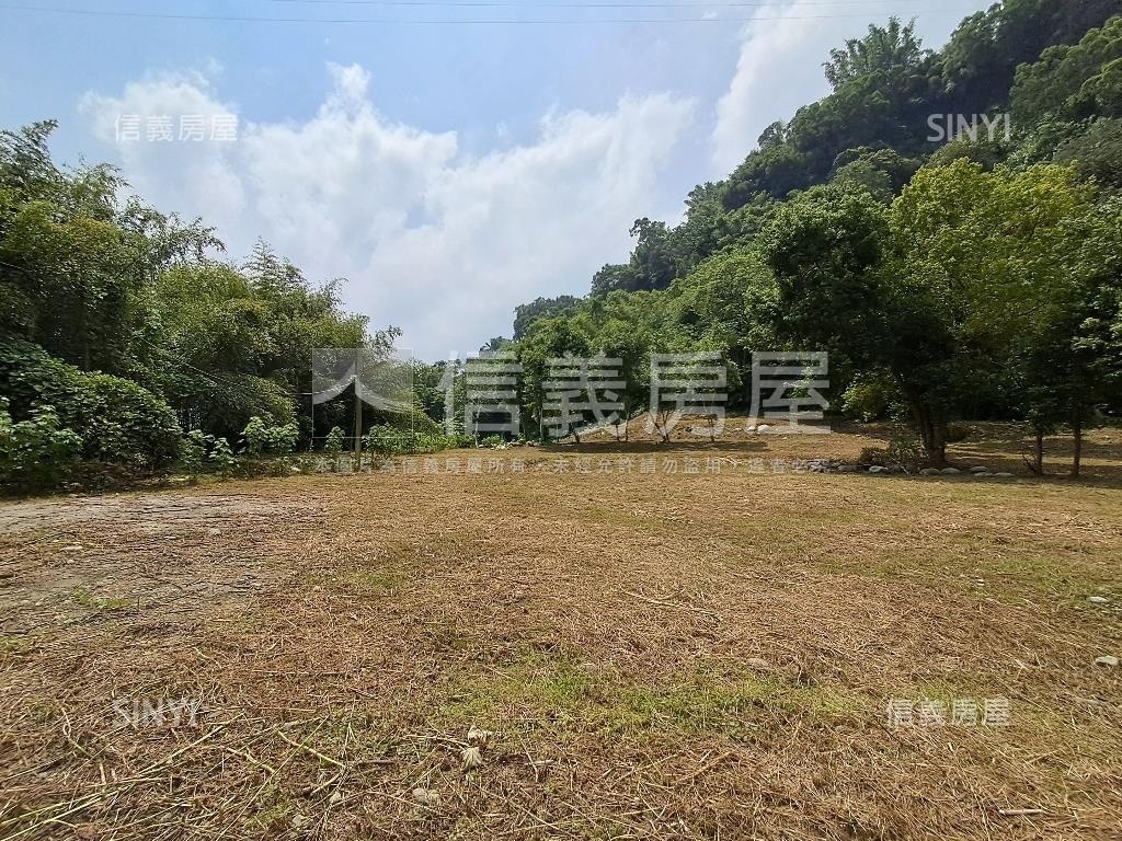 退休爺爺千坪農地單坪免萬房屋室內格局與周邊環境