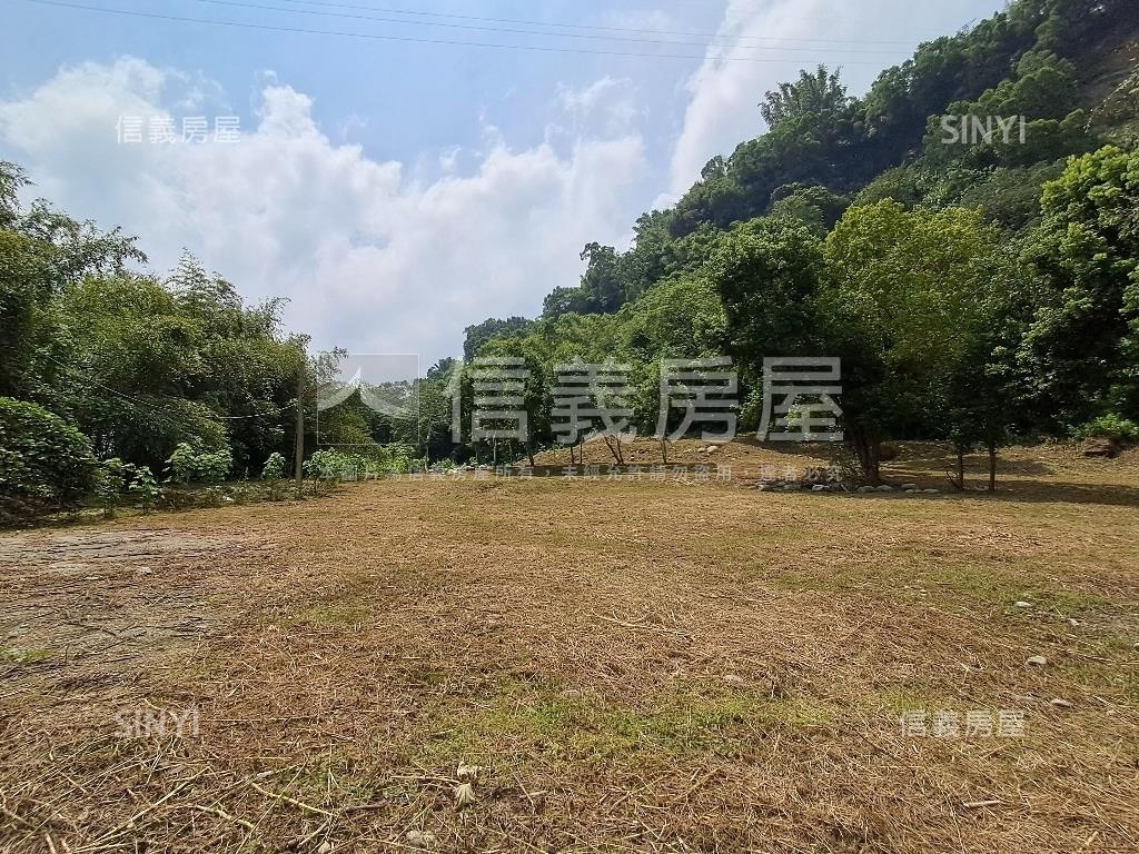 退休爺爺千坪農地單坪免萬房屋室內格局與周邊環境
