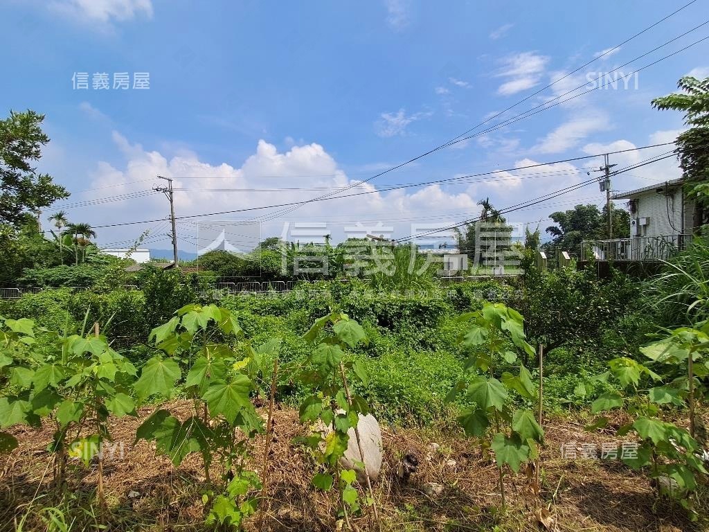 退休爺爺千坪農地單坪免萬房屋室內格局與周邊環境