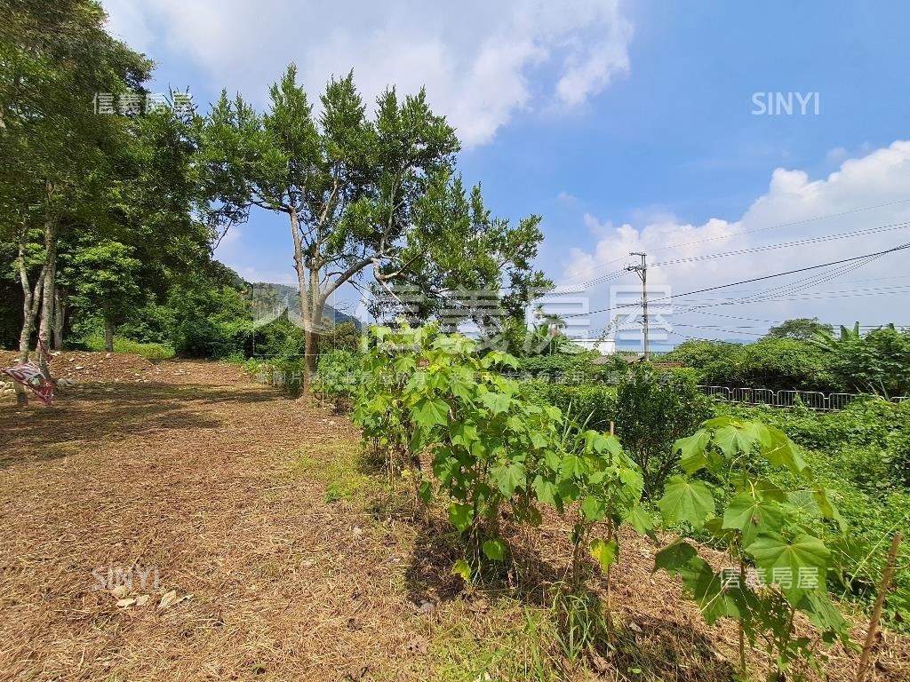 退休爺爺千坪農地單坪免萬房屋室內格局與周邊環境