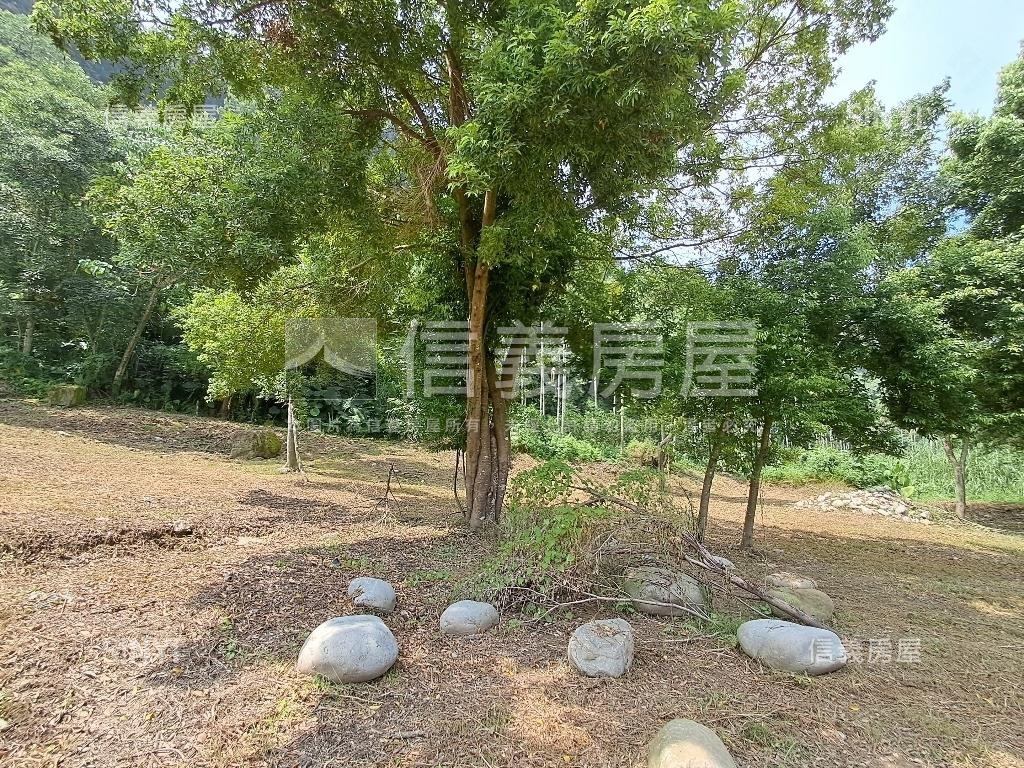 退休爺爺千坪農地單坪免萬房屋室內格局與周邊環境