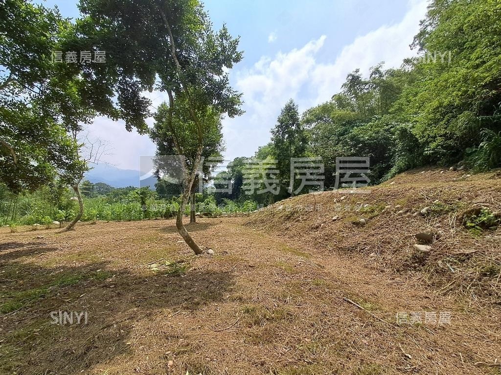 退休爺爺千坪農地單坪免萬房屋室內格局與周邊環境