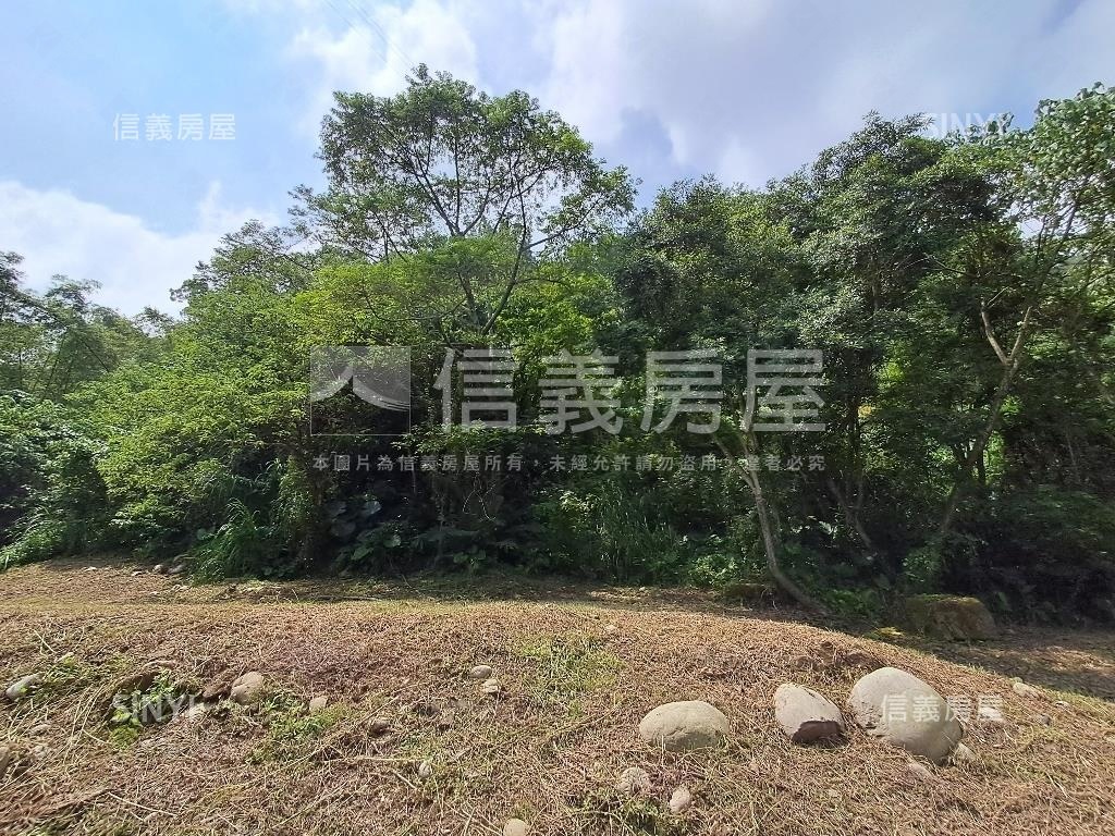 退休爺爺千坪農地單坪免萬房屋室內格局與周邊環境