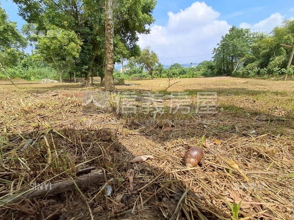 退休爺爺千坪農地單坪免萬房屋室內格局與周邊環境