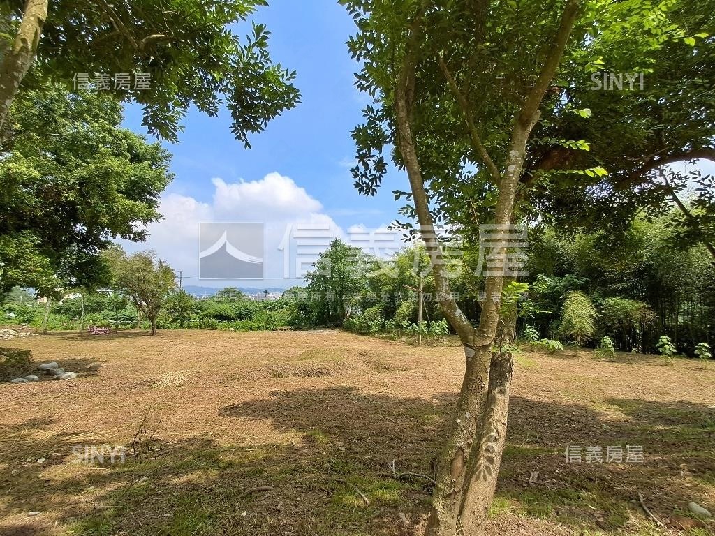 退休爺爺千坪農地單坪免萬房屋室內格局與周邊環境