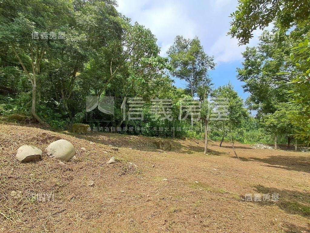 退休爺爺千坪農地單坪免萬房屋室內格局與周邊環境
