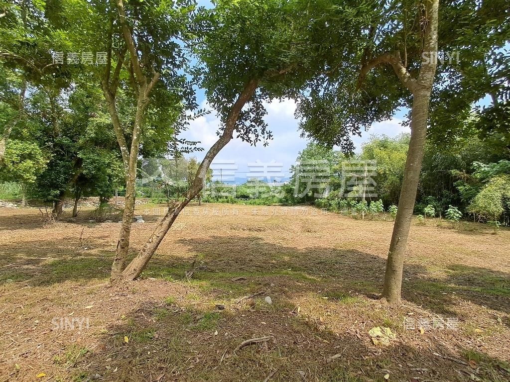 退休爺爺千坪農地單坪免萬房屋室內格局與周邊環境
