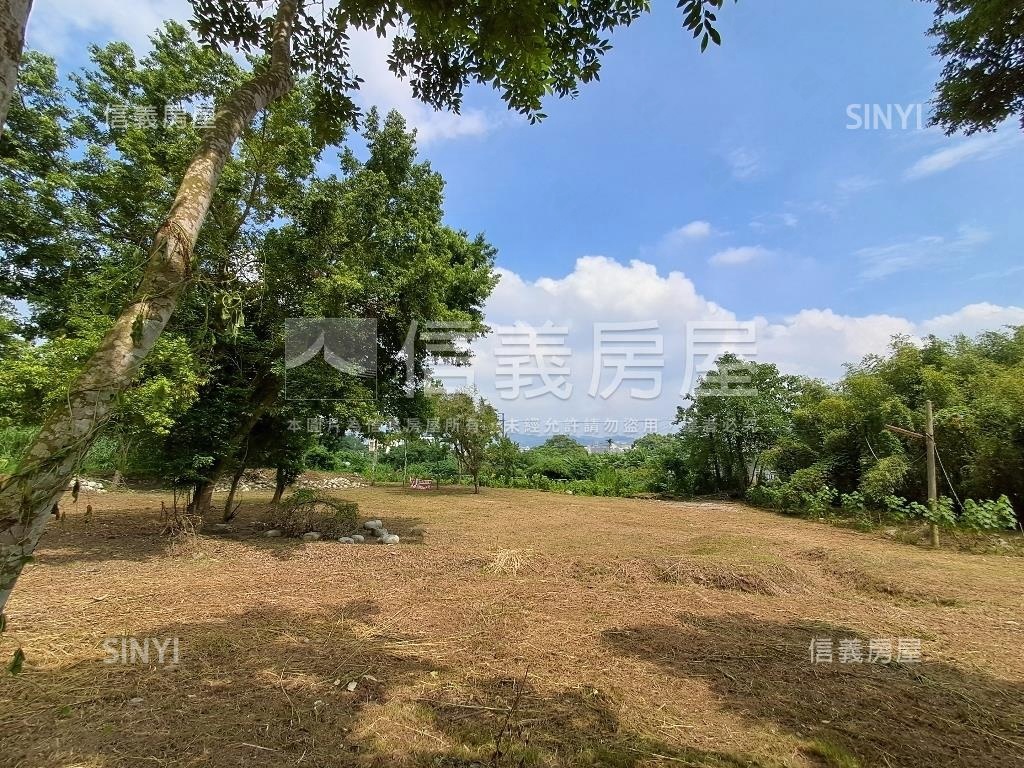 退休爺爺千坪農地單坪免萬房屋室內格局與周邊環境
