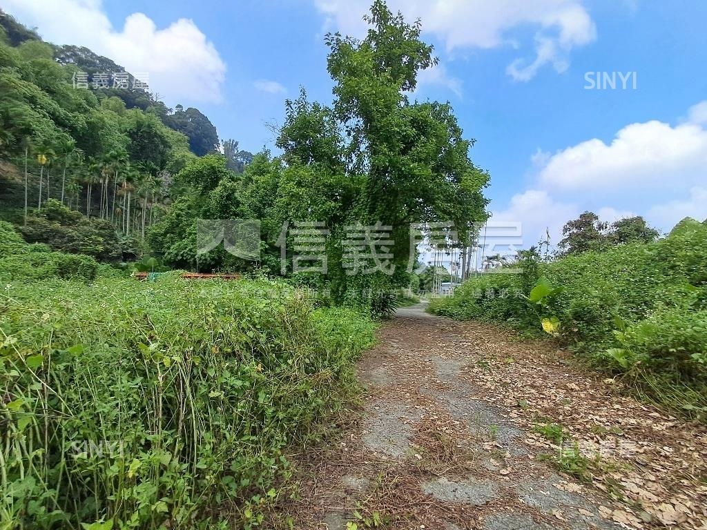 退休爺爺千坪農地單坪免萬房屋室內格局與周邊環境