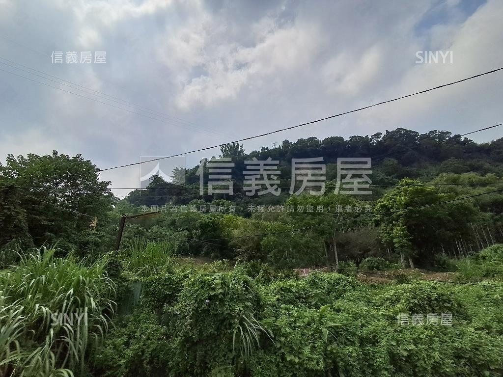 退休爺爺千坪農地單坪免萬房屋室內格局與周邊環境