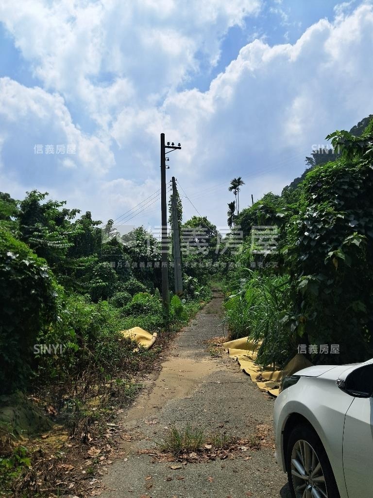 退休爺爺千坪農地單坪免萬房屋室內格局與周邊環境