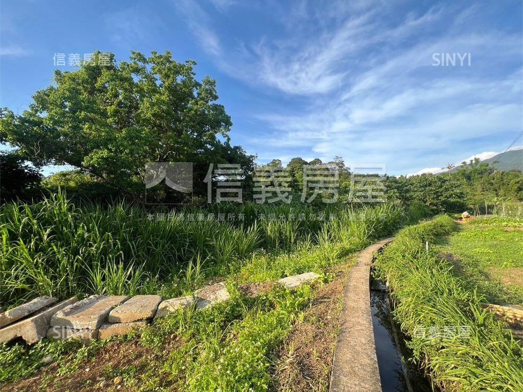 紫藤咖啡園旁農地房屋室內格局與周邊環境