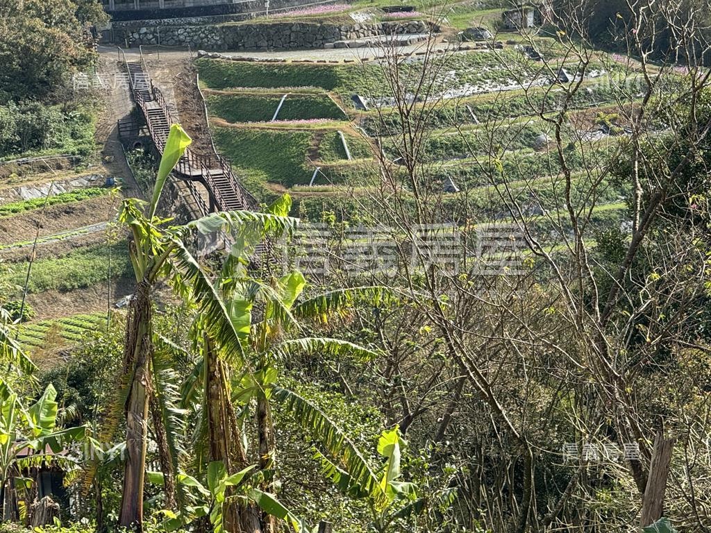 稀有陽明山保護區土地房屋室內格局與周邊環境
