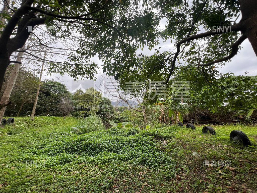 民權一街稀有土地房屋室內格局與周邊環境