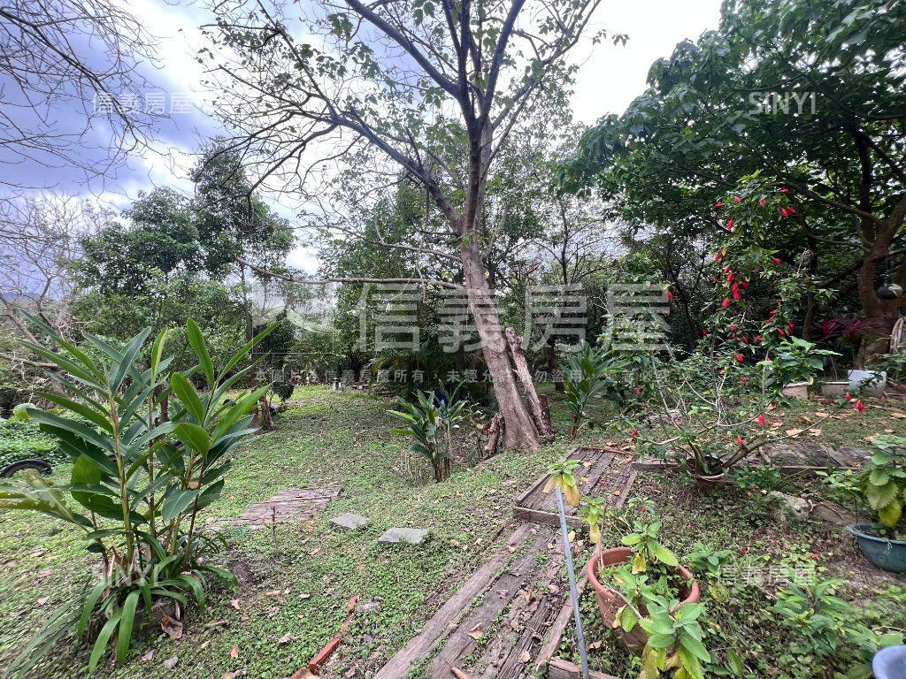 民權一街稀有土地房屋室內格局與周邊環境