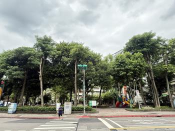 信義行政中心收租金雞母