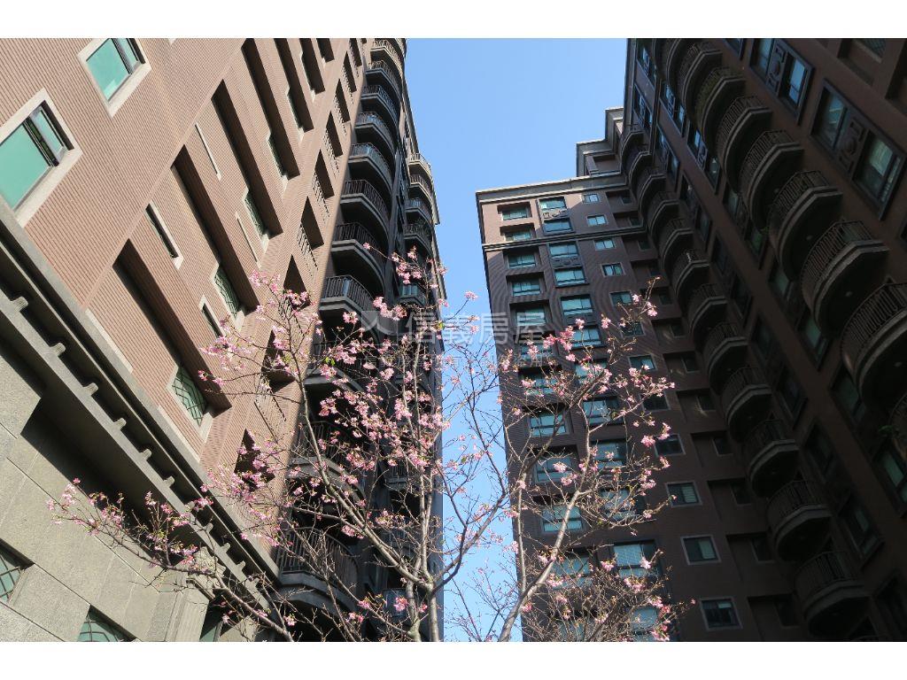 豐達謙邑美兩房車位房屋室內格局與周邊環境