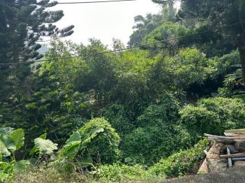 長坑段８７７優質土地