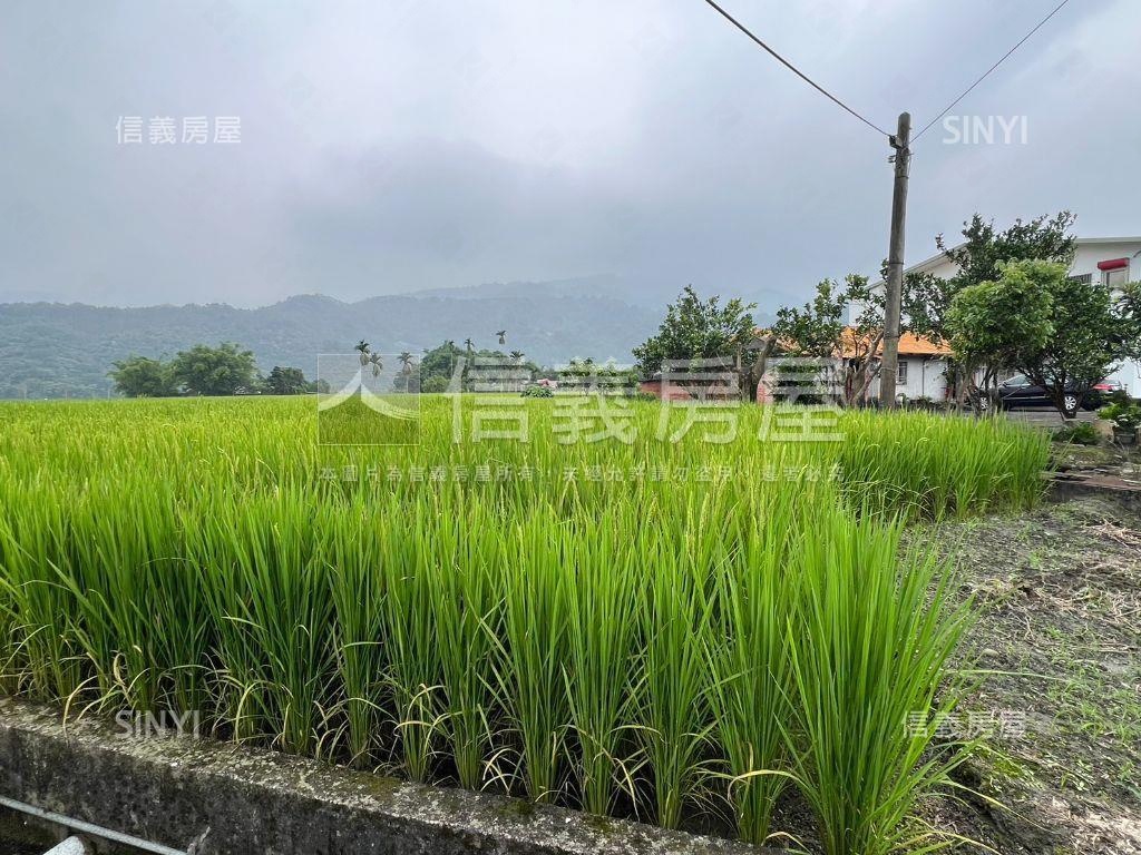 宜蘭三星開心農地房屋室內格局與周邊環境