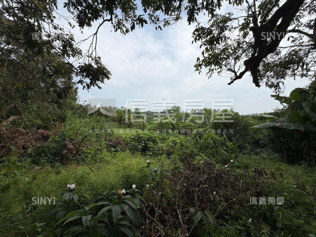 田寮區田寮段七分地房屋室內格局與周邊環境