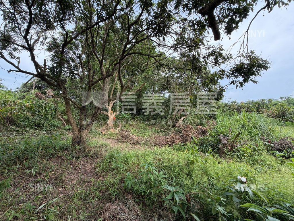 田寮區田寮段七分地房屋室內格局與周邊環境