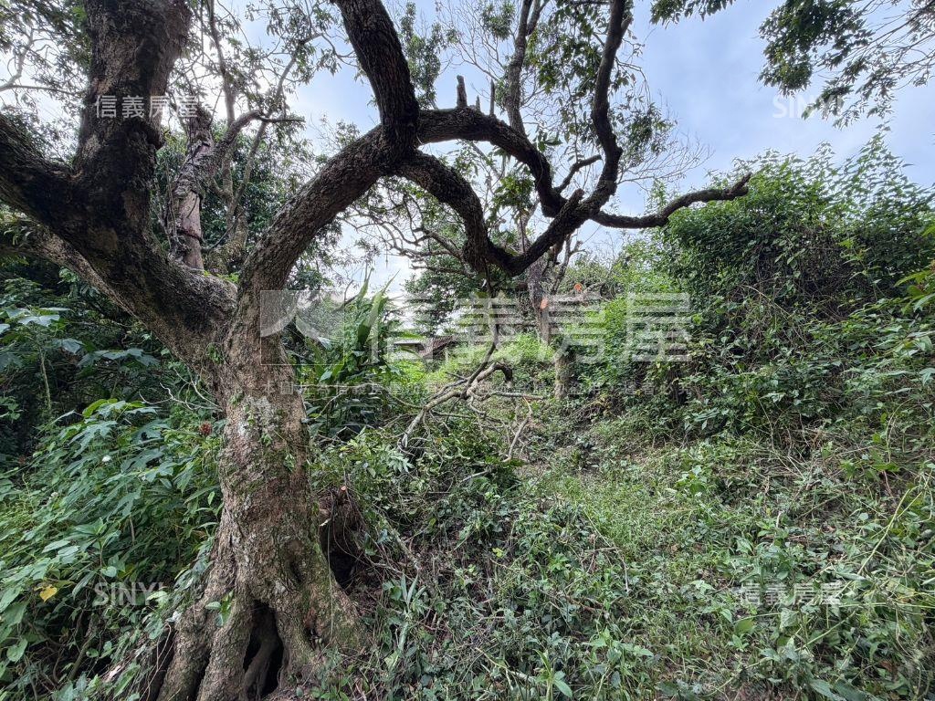 田寮區田寮段七分地房屋室內格局與周邊環境