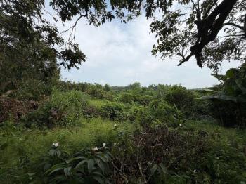 田寮區田寮段七分地