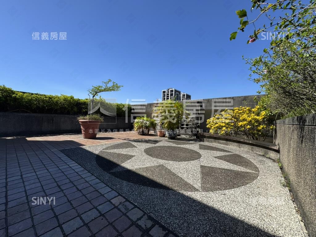 松山巨蛋。鋼骨樹景採光房屋室內格局與周邊環境