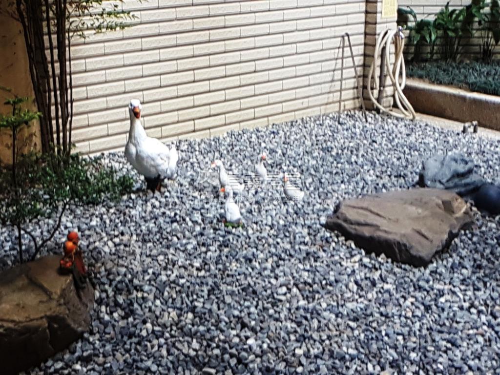 崇倫國中旁震後藏韻三房房屋室內格局與周邊環境
