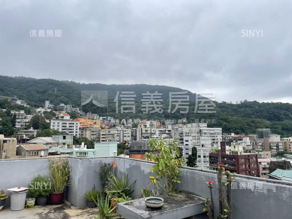 餘園大空間頂樓戶房屋室內格局與周邊環境
