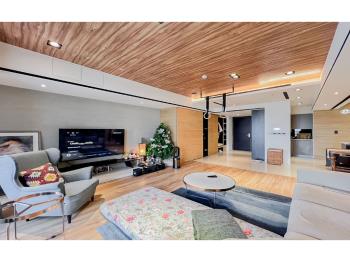 大城雲杉稀有看公園雙平車