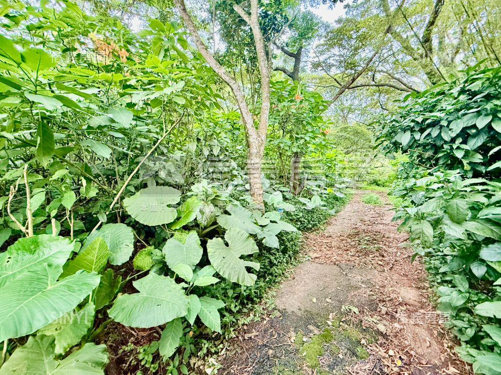 近陽明路‧櫻花山莊房屋室內格局與周邊環境