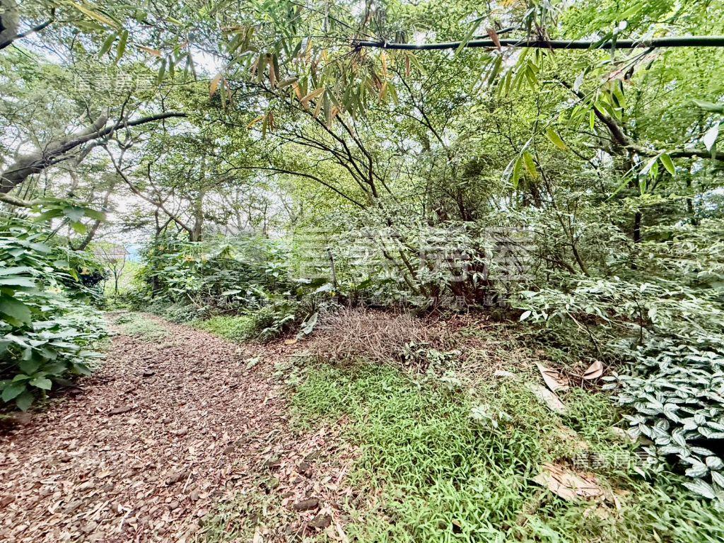 近陽明路‧櫻花山莊房屋室內格局與周邊環境