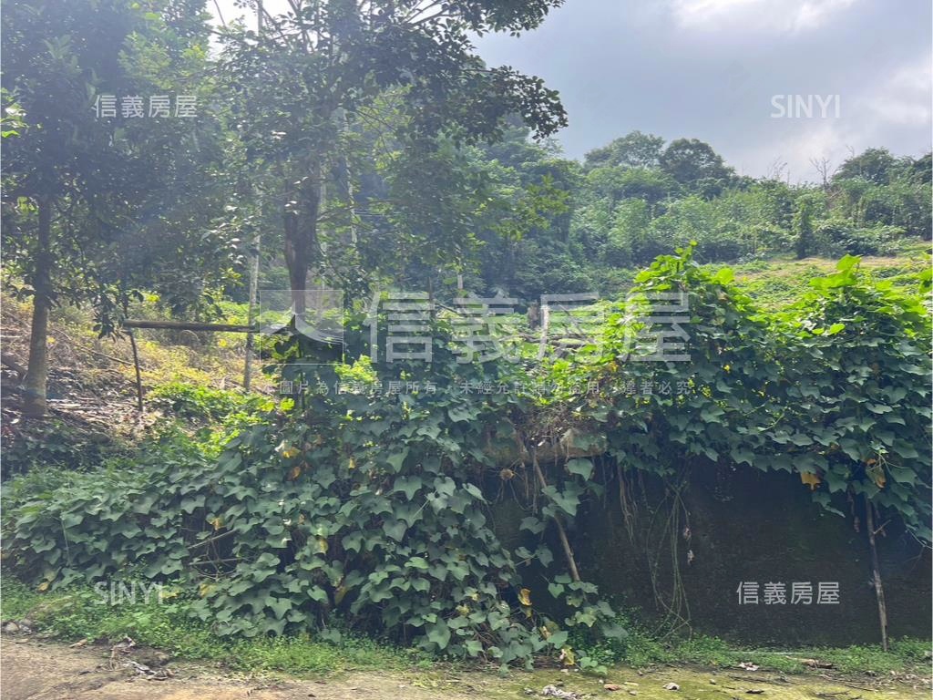 東山路美農地房屋室內格局與周邊環境