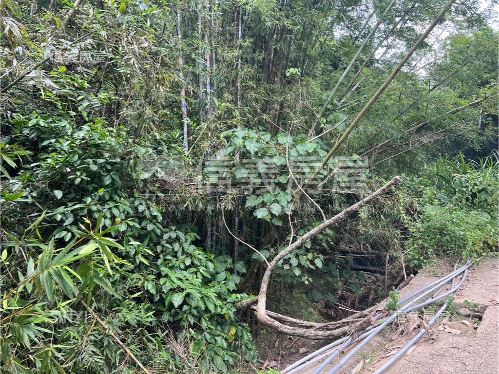 東山路美農地房屋室內格局與周邊環境