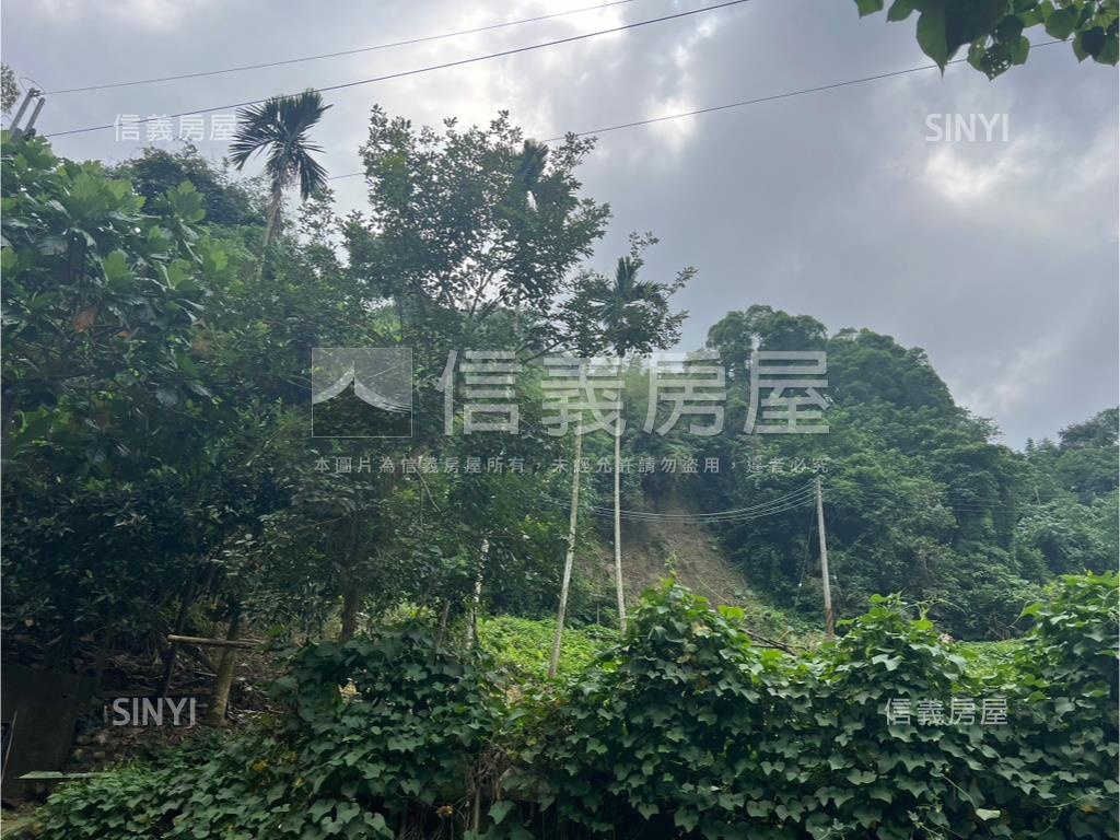 東山路美農地房屋室內格局與周邊環境