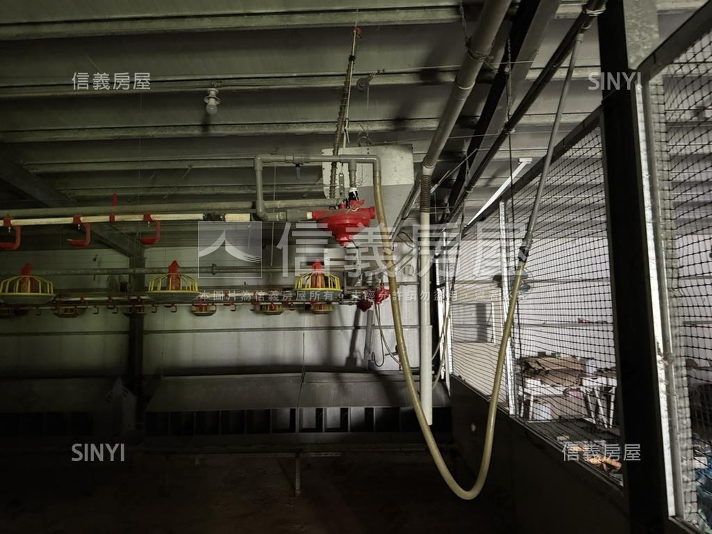 雲林雞舍房屋室內格局與周邊環境