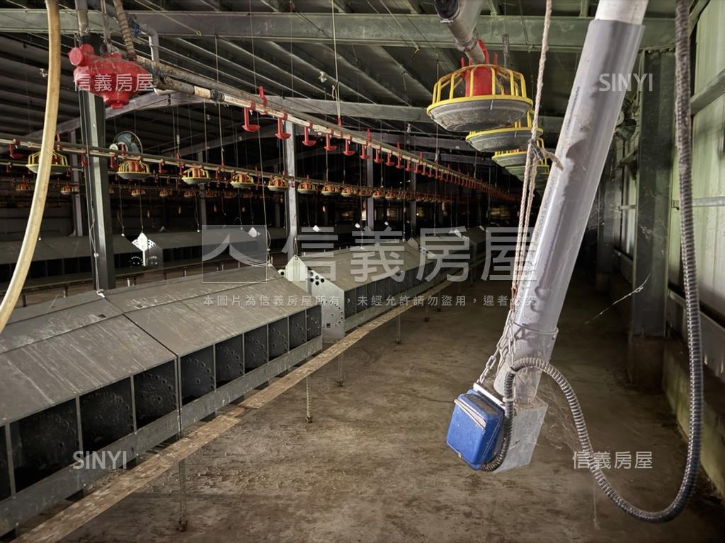雲林雞舍房屋室內格局與周邊環境