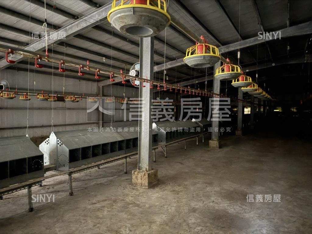 雲林雞舍房屋室內格局與周邊環境